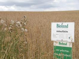 Immer mehr Betriebe stellen auf �kolandbau um. In Bayern gibt es mittlerweile 6.500 Betriebe − ein Drittel aller deutschen Bio-H�fe.&copy; M�hlhausen/landpixel