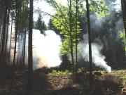 Teaser Bild