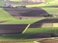 landschaft_focus-finder_ft.jpg 