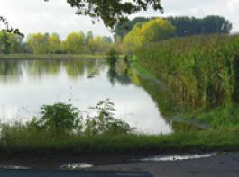 Die Landwirtschaft muss sich nicht nur auf h�here Temperaturen und D�rreperioden im Sommer einstellen. Auch �berschwemmungen nach Starkniederschl�gen werden uns �fter ereilen.&copy; Raupert