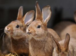 &copy; Carola Schubbel/fotolia