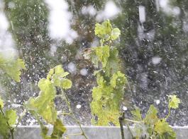 Unwetterwarnungen k�nnen auch in diesem Jahr wieder per SMS empfangen werden.&copy; Herculaneum79/fotolia.de