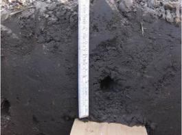 G�lle-Depotband: N�hrstoffplatzierung in Wurzeln�he&copy; Vogelsang
