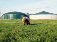 Biogas_juvitec.jpg Biogas