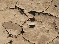 Duerre_Trockenheit_Erde.jpg D�rre, Trockenheit