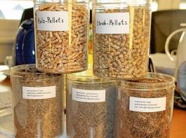 Die Biomasse-Pellets k�nnen aus ganz unterschiedlichen Rohstoffen bestehen.&copy; Kahnt-Ralle/Schomaker/Big Dutchman