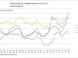 Feste Rinderpreise im n�chsten Jahr