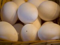 Eier_Neumann_lpix70924.jpg 