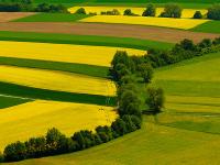 Landschaft_Mai.jpg 