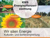 KWS_Energiepflanzen_nach-vo.jpg 