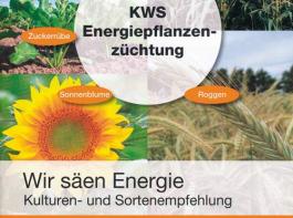 KWS bietet mehrere Brosch�ren zu Energiepflanzen an, die unter www.kws.de heruntergeladen oder kostenlos bestellt werden k�nnen.