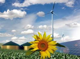Fachverband Biogas, Bundesverband Solarwirtschaft, Bauernverband - sie alle bef�rworten die �nderungsvorschl�ge des Bundesrates bez�glich der EEG-Novelle.&copy; M�hlhausen/landpixel
