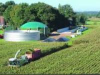 biogaserzeugung_foto.jpg 
