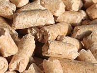 Pellets-1.jpg Pellets