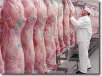  schlachthof, schlachter, schweinefleisch