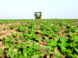 ? Ausreichend entwickelt in den Winter und fit im Fr�hjahr: Die richtige D�ngestrategie leistet einen entscheidenden Anteil. 