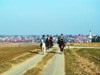 _Pferderegion_Oberbayern_NEU 