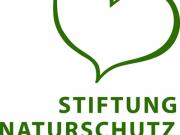 Teaser Bild