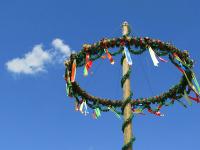 Maibaum.jpg 