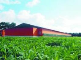 
Mehrere Unternehmen der Gefl�gelfleischbranche wollen expandieren. Daf�r werden neue Mastkapazit�ten gesucht. Foto: Diekmann-Lenartz 