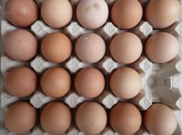 Eier sind knapp und teuer geworden, die Preise am freien Markt haben sich innerhalb weniger Wochen verdoppelt.&copy; Iro/aboutpixel.de