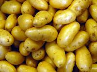 Fruehkartoffeln.jpg 