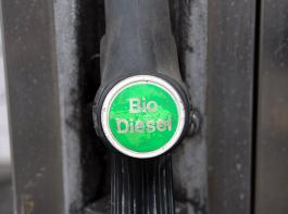 Drei Prozent der weltweiten Ackerfl�che wird f�r die Produktion von Energiepflanzen genutzt.&copy; M�hlhausen/landpixel
