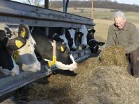 LandwirtMilchkuehe.jpg 
