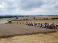 newholland_Maehdrescher_CR9090.jpg 