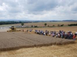 CR9090&copy; NewHolland