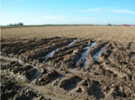&copy; Hapo/landpixel.de
