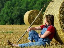Kriterium f�r die Auszeichnung mit dem G�tesiegel ist unter anderem die M�glichkeit zum realen 