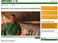 gefluegel_tv.jpg 