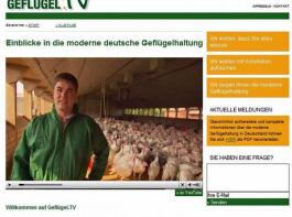 Neues Infoportal 