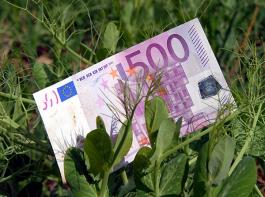 Die Ausgleichszulage soll die Fortf�hrung der landwirtschaftlichen Erwerbst�tigkeit in den benachteiligten Gebieten sicherstellen.