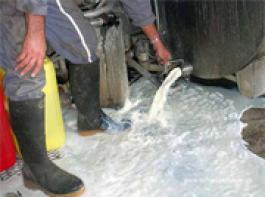 Schweizer Landwirte versch�tten Milch