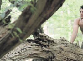 Blitzlichtgewitter im �Urwald� - Alexander wurde in der Wildeshauser Geest fotografiert. &copy; Carolin Hasemann