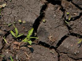 Die '2030 Water Resources Group' will den drohenden Wassermangel bek�mpfen.&copy; Von Th�nen Institut