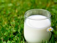 Milchglas.jpg 