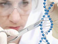 ft_Gernot-Krautberger_gente.jpg Gentechnik, DNA