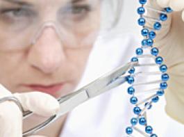 &copy; Gernot Krautberger/Fotolia