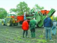 34 Potato Europe_Foto 1 (zu Text 1).jpg 