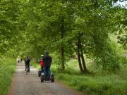 Teaser Bild