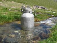 04_milch_wassergekhlt.jpg 