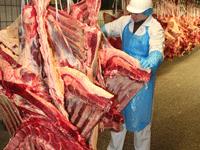 Rind_Schlachtung.gif Rindfleisch, Jungbullen, Schlachtung, Westfleisch