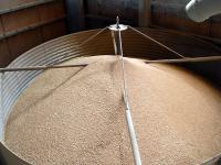 getreide_silo.jpg Getreide, Silo