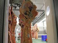 Schlachtvieh_Rind_600.jpg 