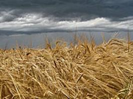 &copy; pascal cribier/Fotolia