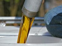 af_rapsoel5.jpg Pflanzen�l, Biodiesel, Raps
