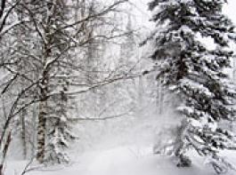 &copy; Peter Kirillov/fotolia